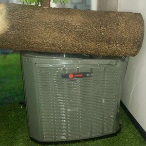 Meet your Posher, Rafael